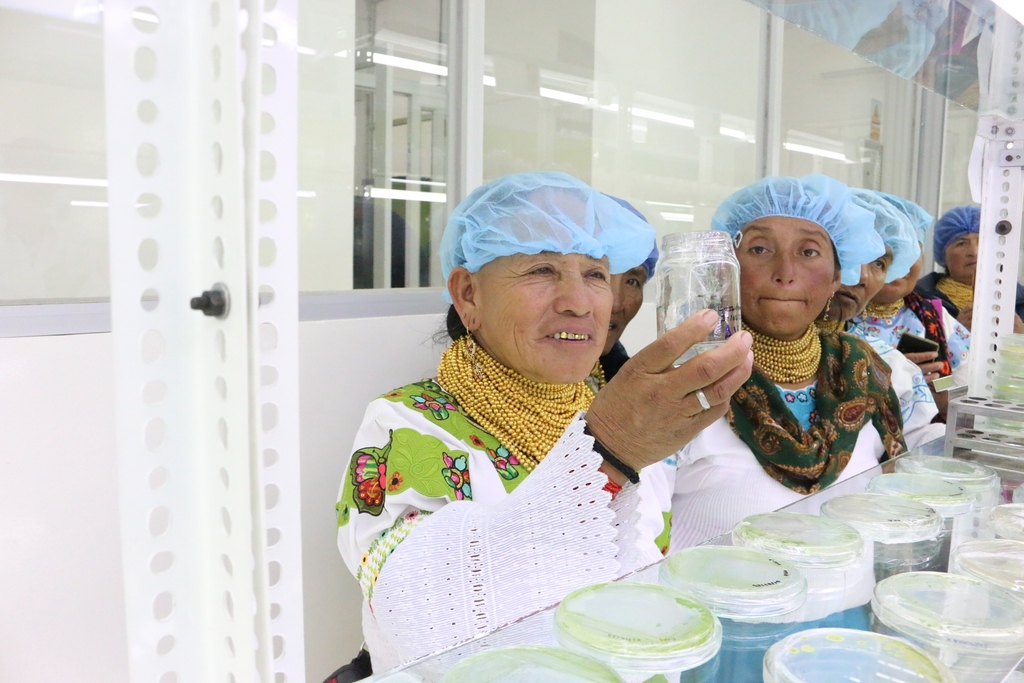 Midwives in lab in Ecuador. Photo by Sania Ortega