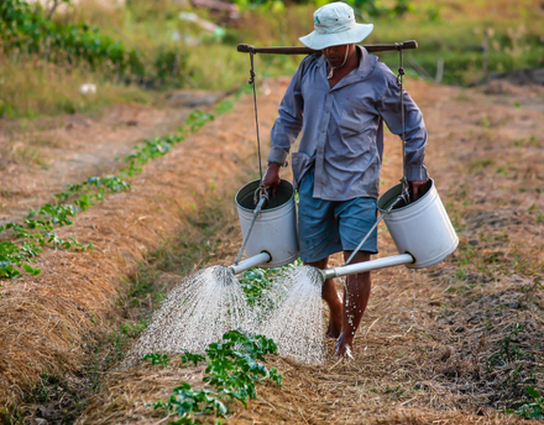 What will we eat in 2050?