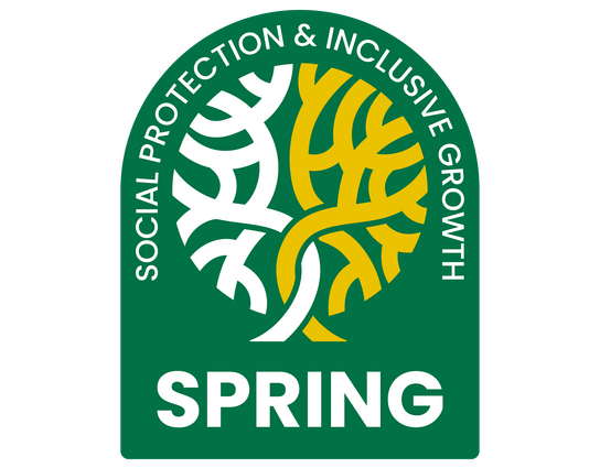 spring PSP